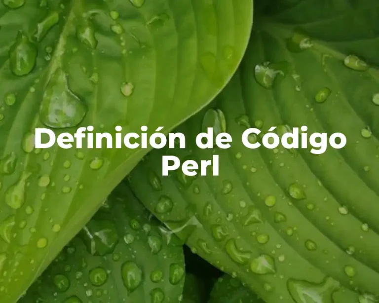 Definición de Código Perl