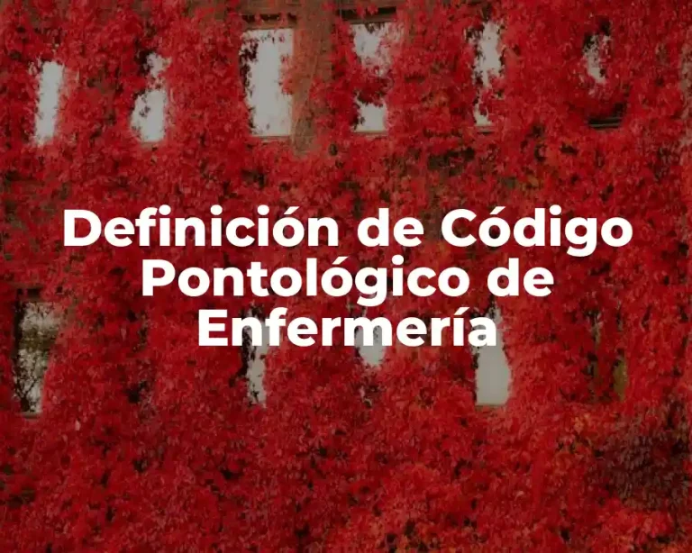 Definición de Código Pontológico de Enfermería
