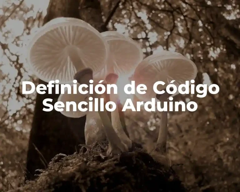 Definición de Código Sencillo Arduino