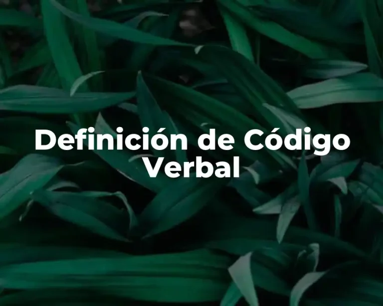 Definición de Código Verbal