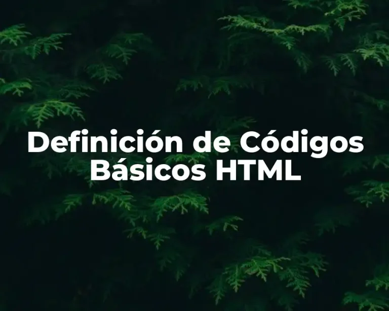 Definición de Códigos Básicos HTML