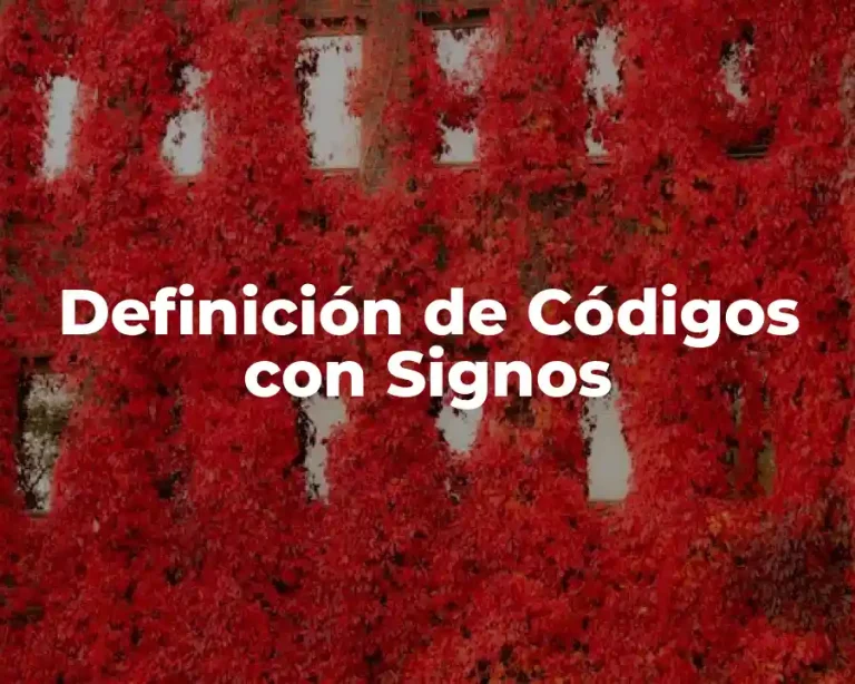 Definición de Códigos con Signos