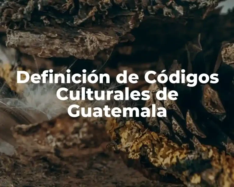 Definición de Códigos Culturales de Guatemala
