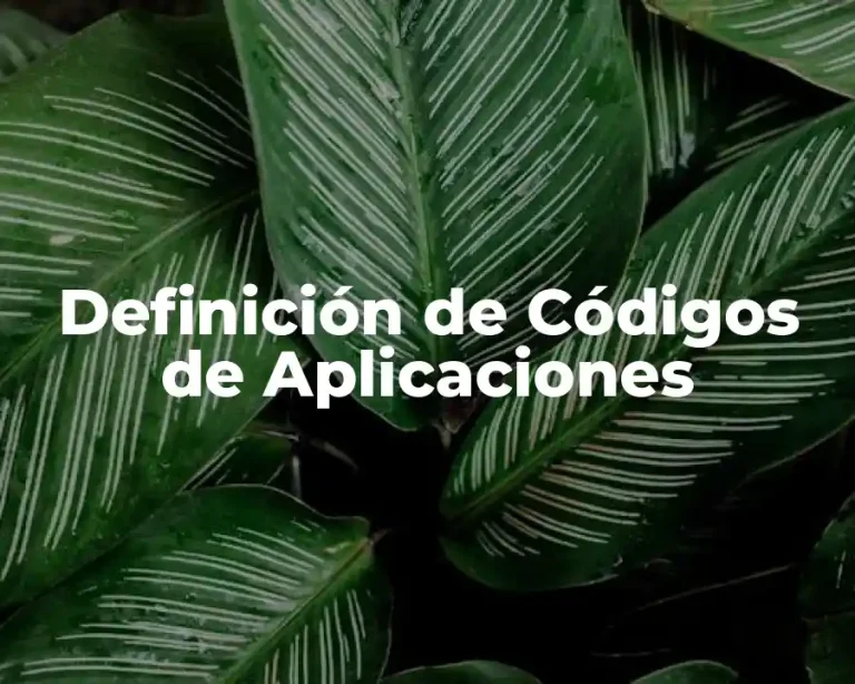 Definición de Códigos de Aplicaciones