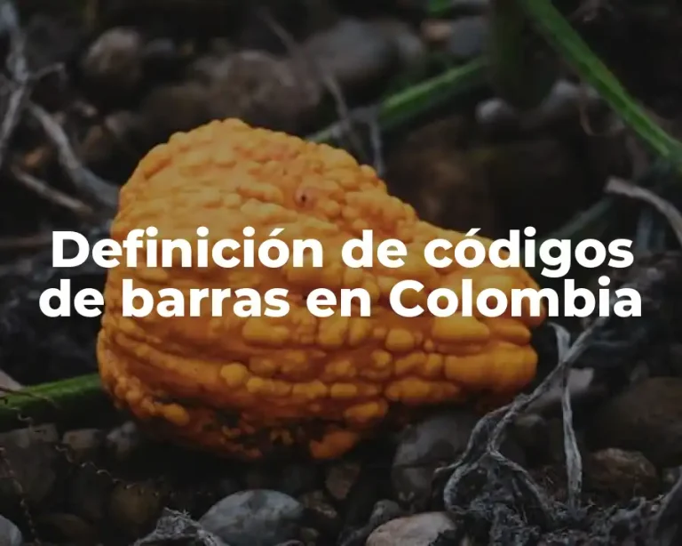 Definición de códigos de barras en Colombia
