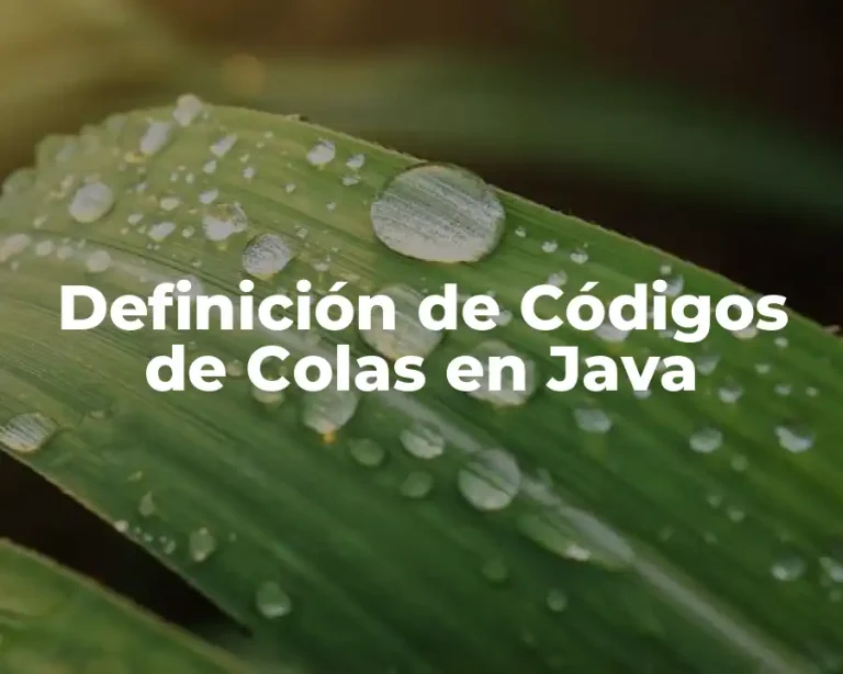 Definición de Códigos de Colas en Java