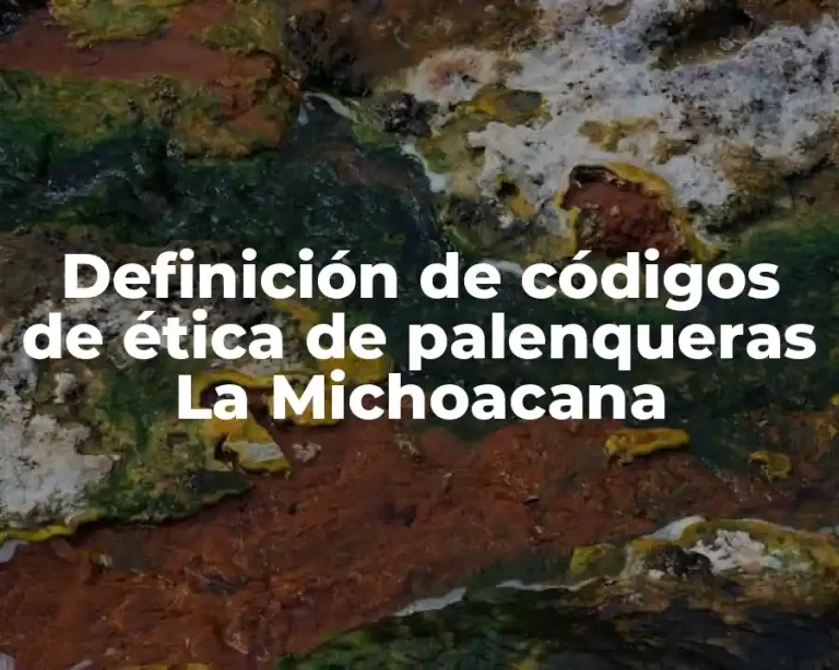 Definición de códigos de ética de palenqueras La Michoacana