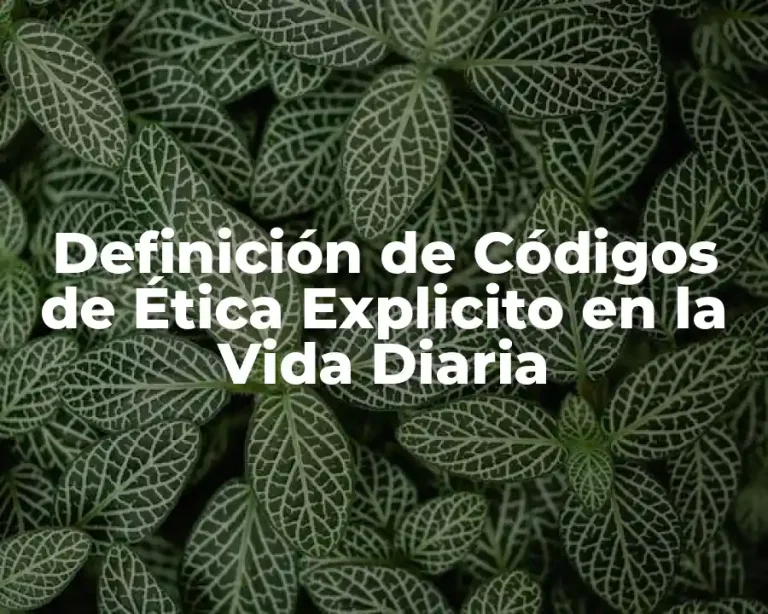 Definición de Códigos de Ética Explicito en la Vida Diaria