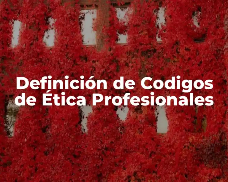 Definición de Codigos de Ética Profesionales