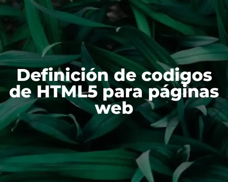 Definición de codigos de HTML5 para páginas web