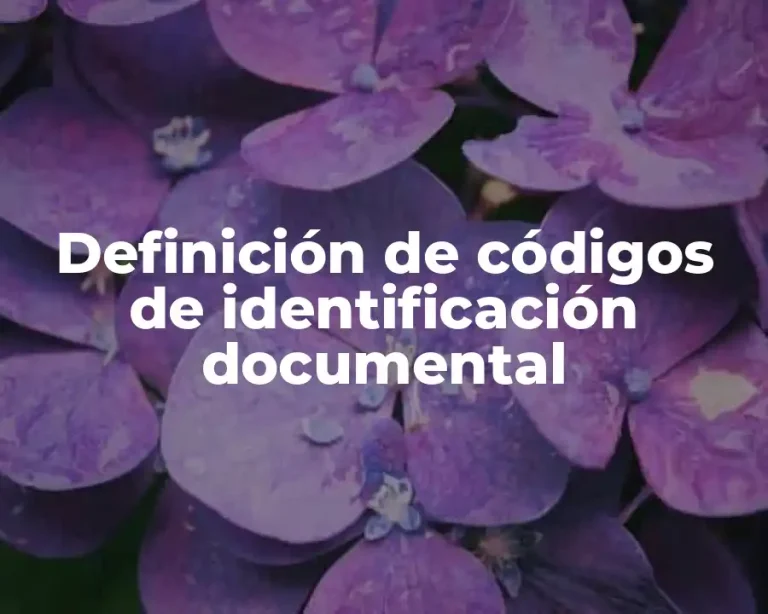 Definición de códigos de identificación documental
