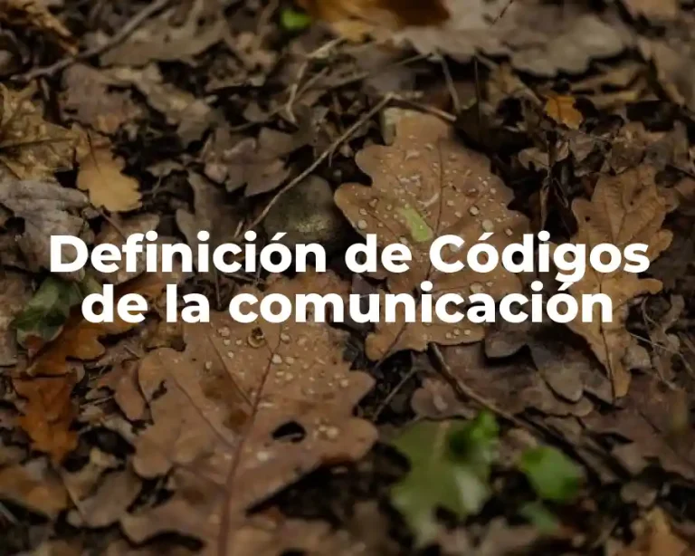 Definición de Códigos de la comunicación