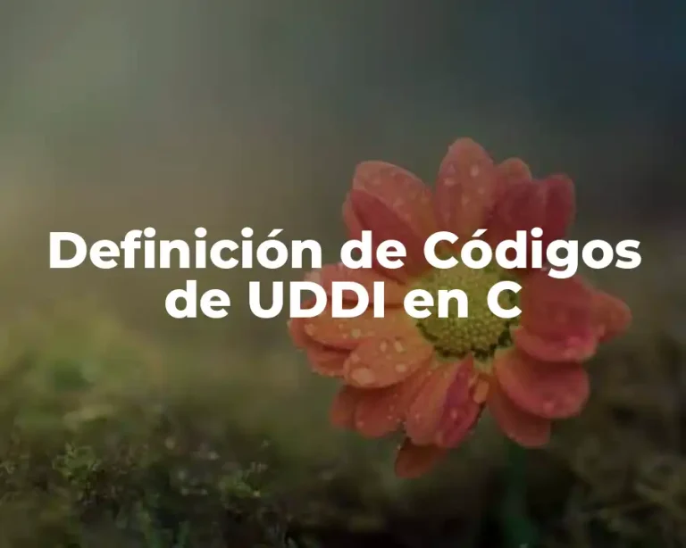 Definición de Códigos de UDDI en C