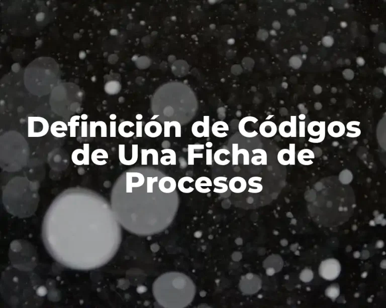 Definición de Códigos de Una Ficha de Procesos