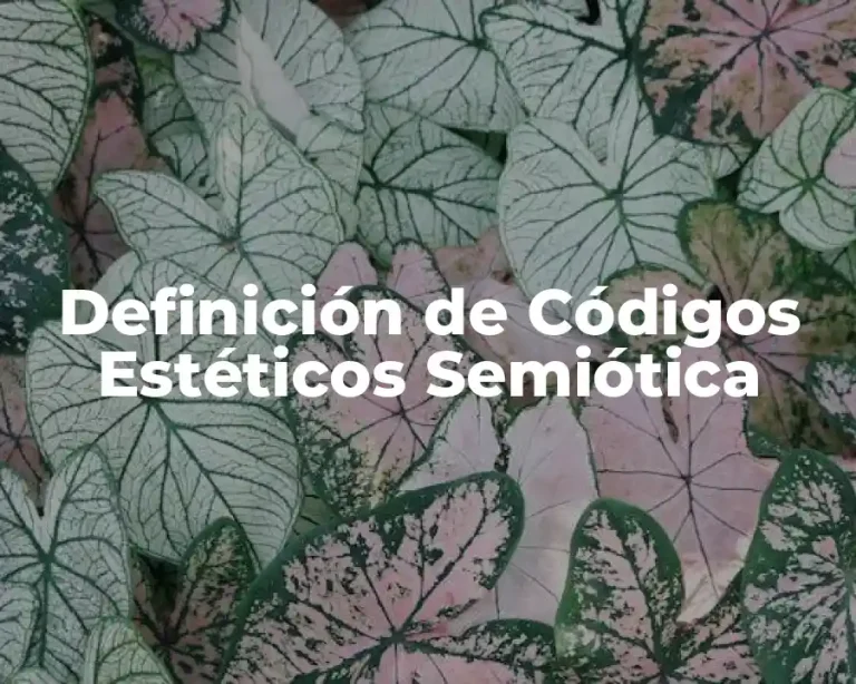 Definición de Códigos Estéticos Semiótica
