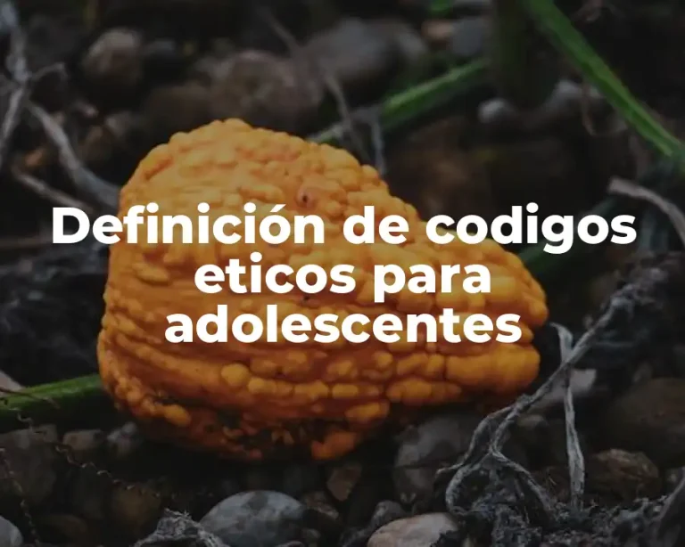 Definición de codigos eticos para adolescentes