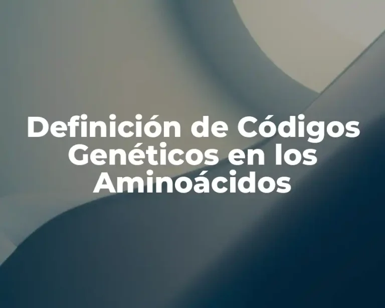 Definición de Códigos Genéticos en los Aminoácidos
