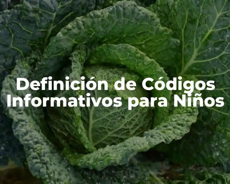 Definición de Códigos Informativos para Niños