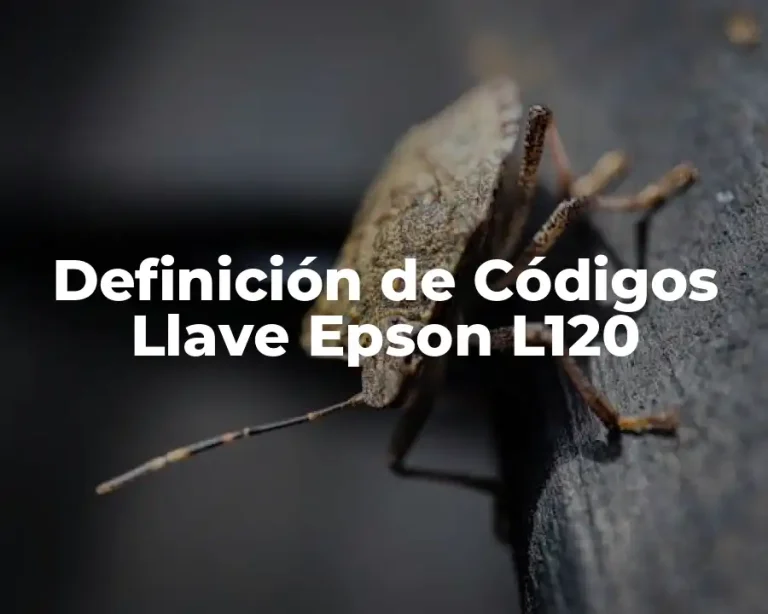 Definición de Códigos Llave Epson L120