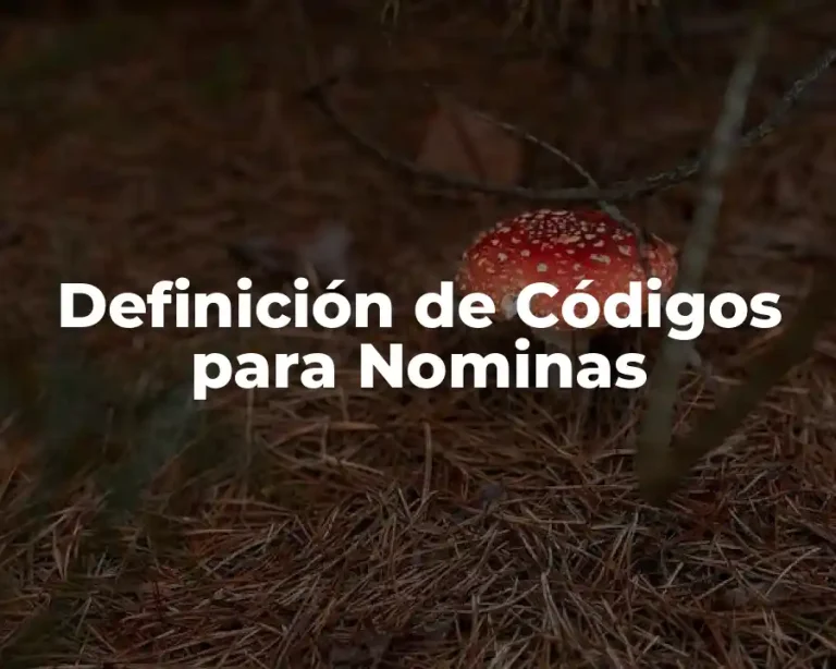 Definición de Códigos para Nominas