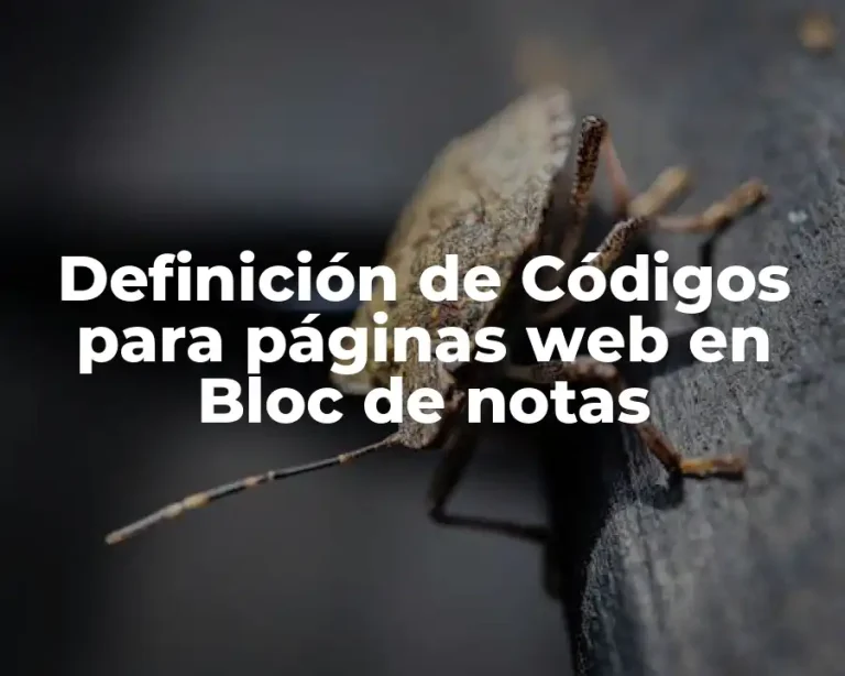 Definición de Códigos para páginas web en Bloc de notas