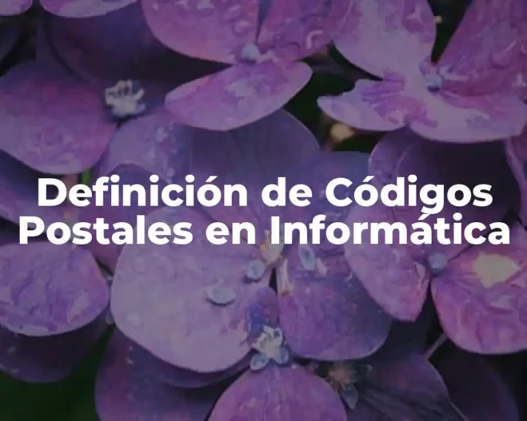 Definición de Códigos Postales en Informática