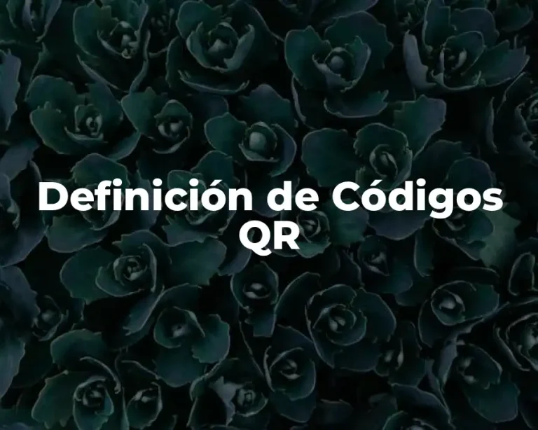 Definición de Códigos QR