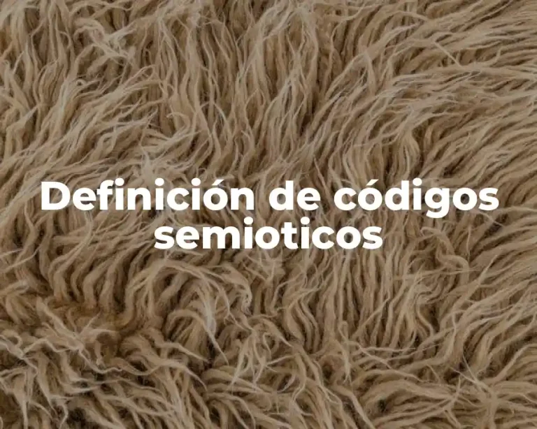 Definición de códigos semioticos
