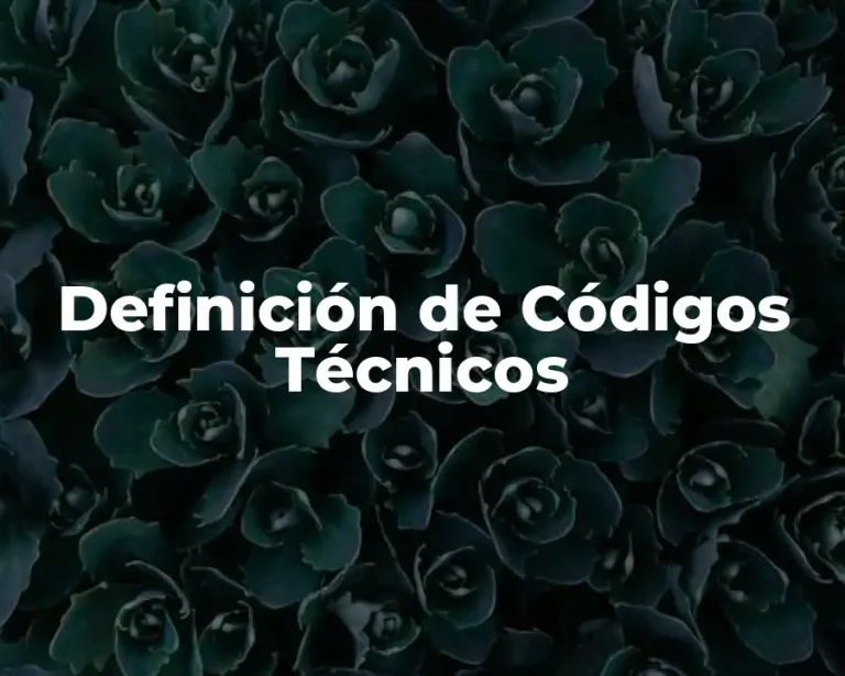 Definición de Códigos Técnicos
