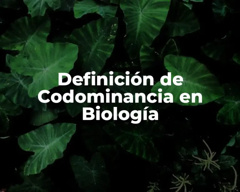 Definición de Codominancia en Biología