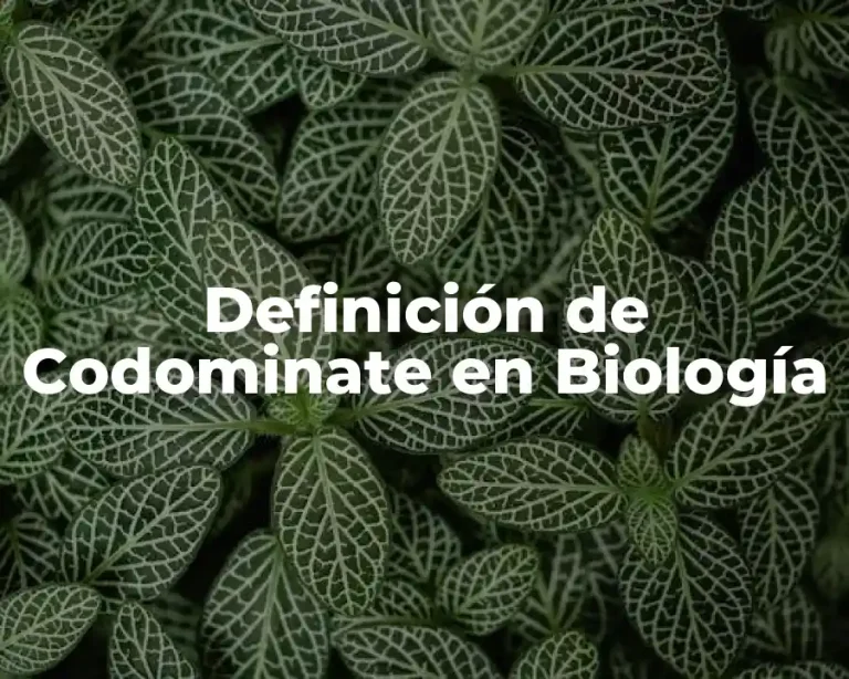 Definición de Codominate en Biología