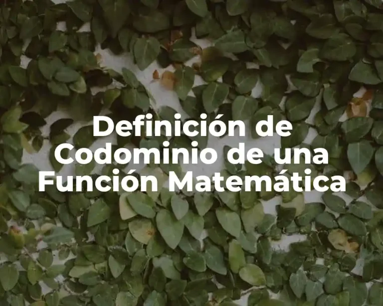 Definición de Codominio de una Función Matemática