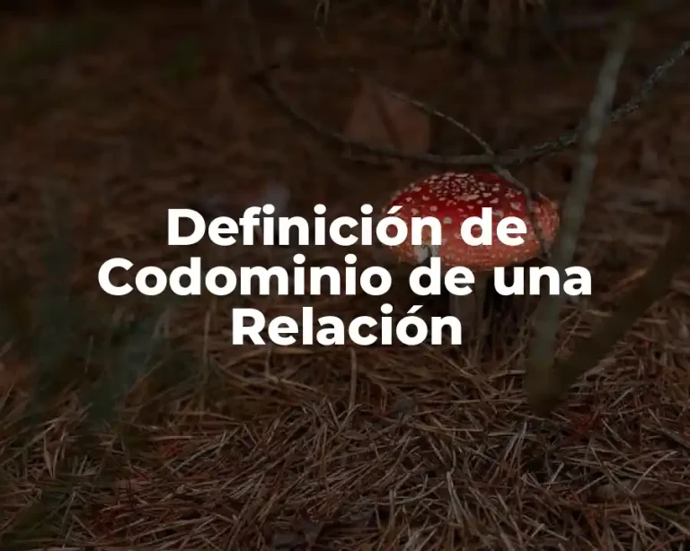 Definición de Codominio de una Relación