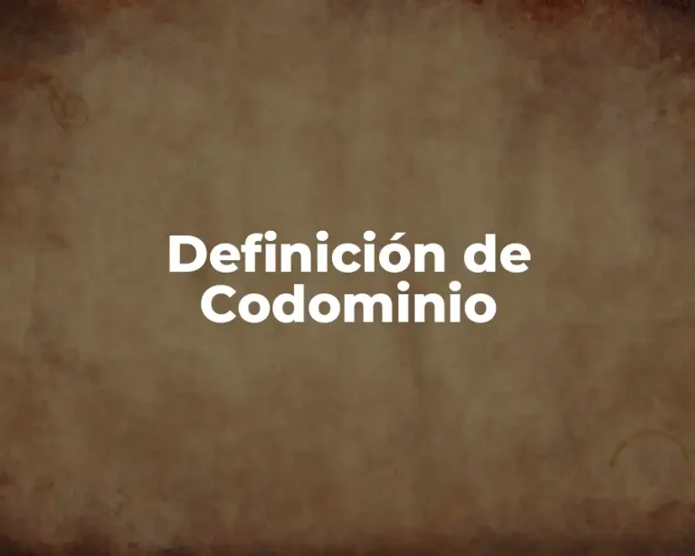 Definición de Codominio