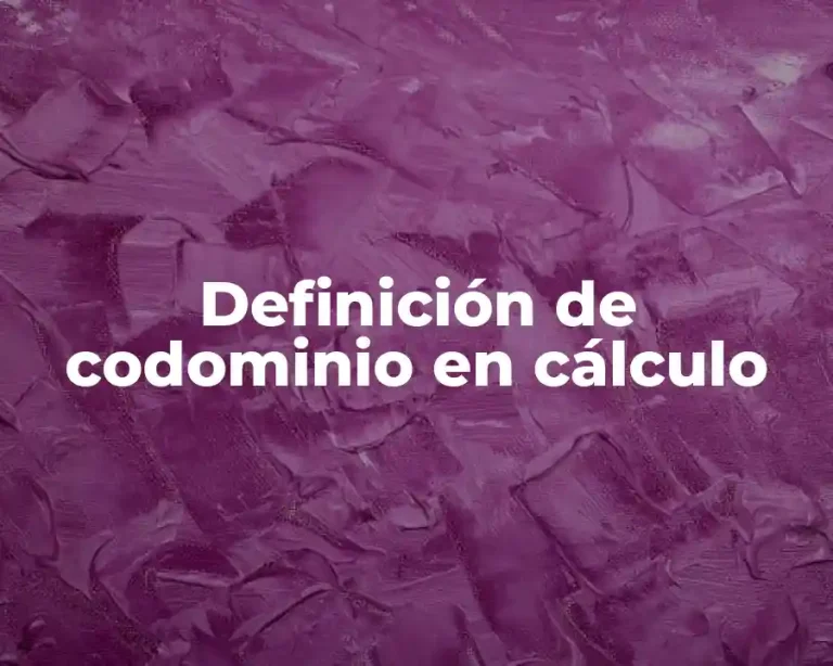 Definición de codominio en cálculo
