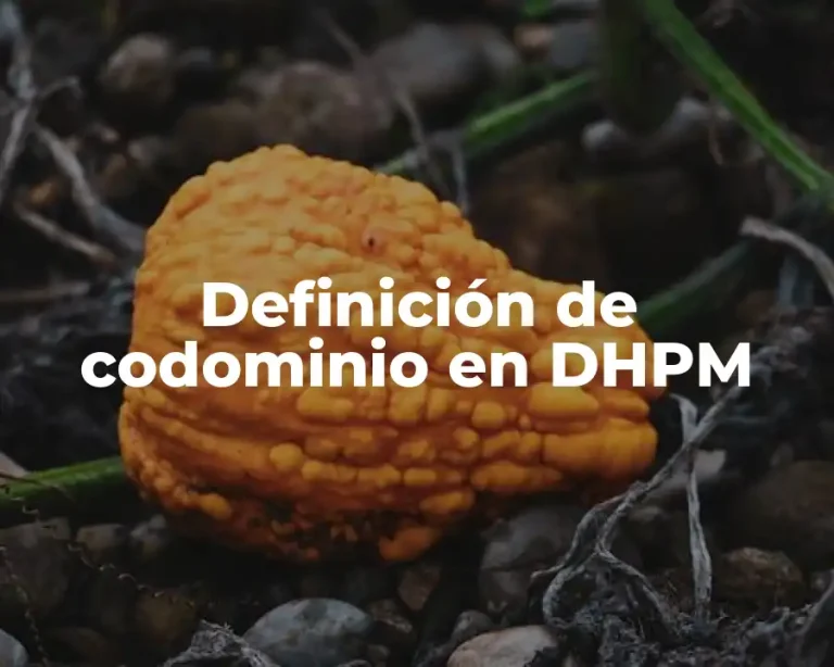 Definición de codominio en DHPM