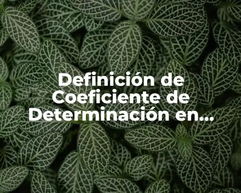Definición de Coeficiente de Determinación en Estadística