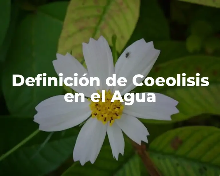 Definición de Coeolisis en el Agua