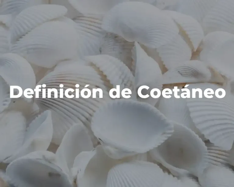Definición de Coetáneo