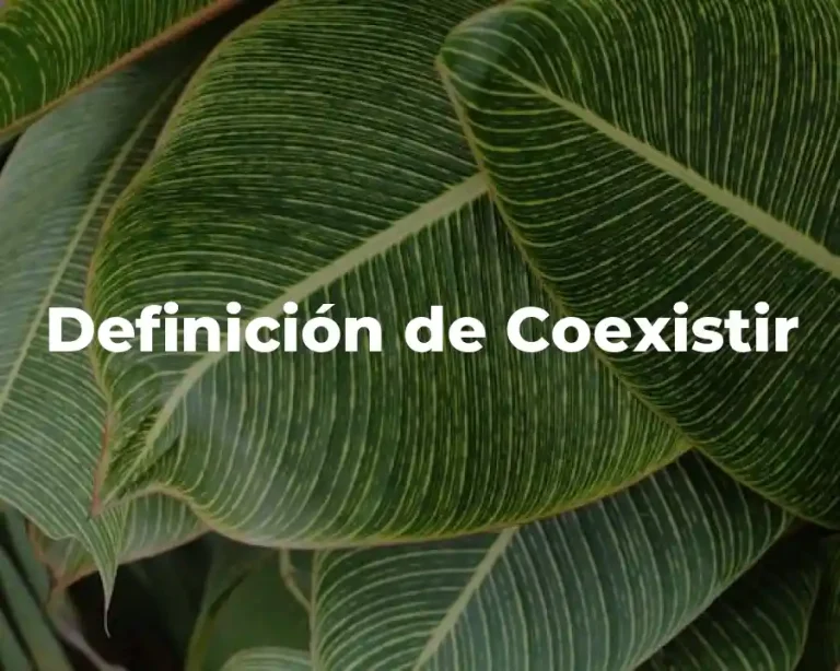 Definición de Coexistir