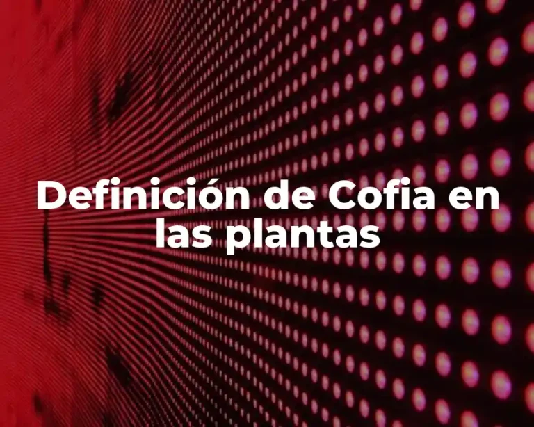 Definición de Cofia en las plantas