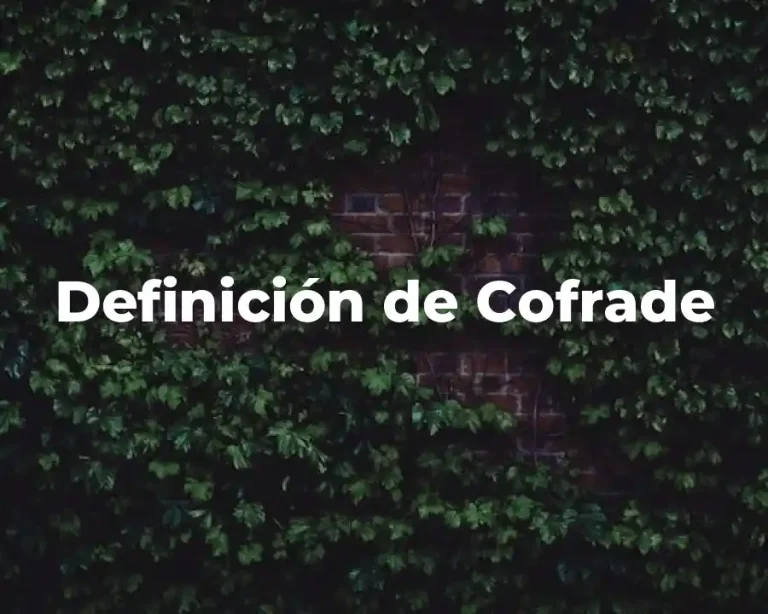 Definición de Cofrade
