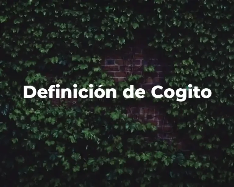 Definición de Cogito