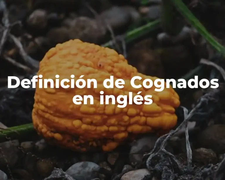 Definición de Cognados en inglés