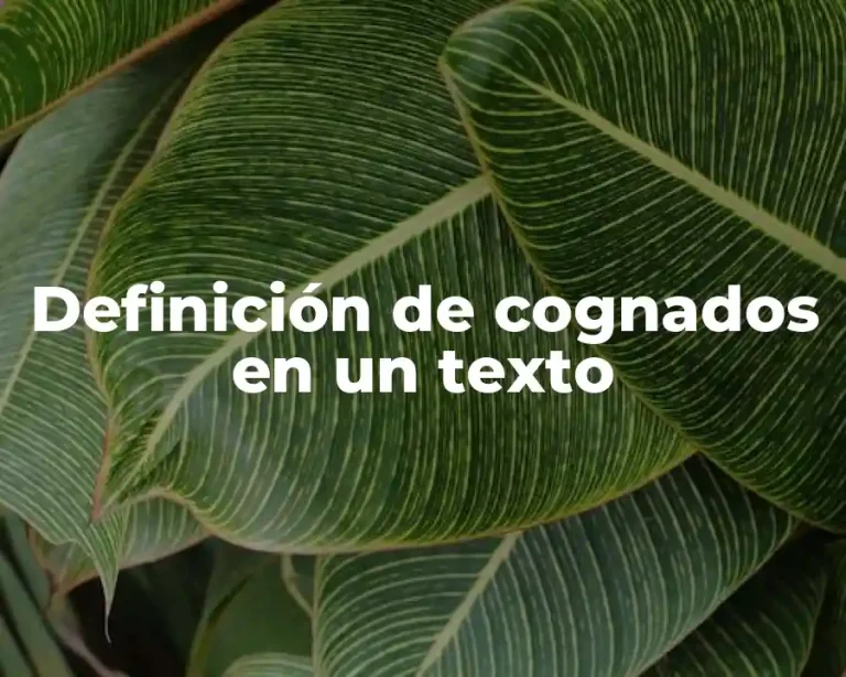 Definición de cognados en un texto