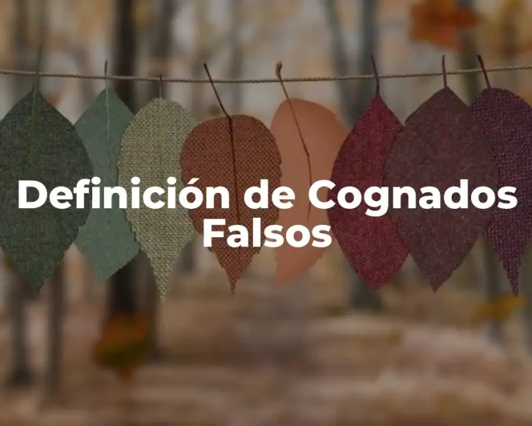 Definición de Cognados Falsos