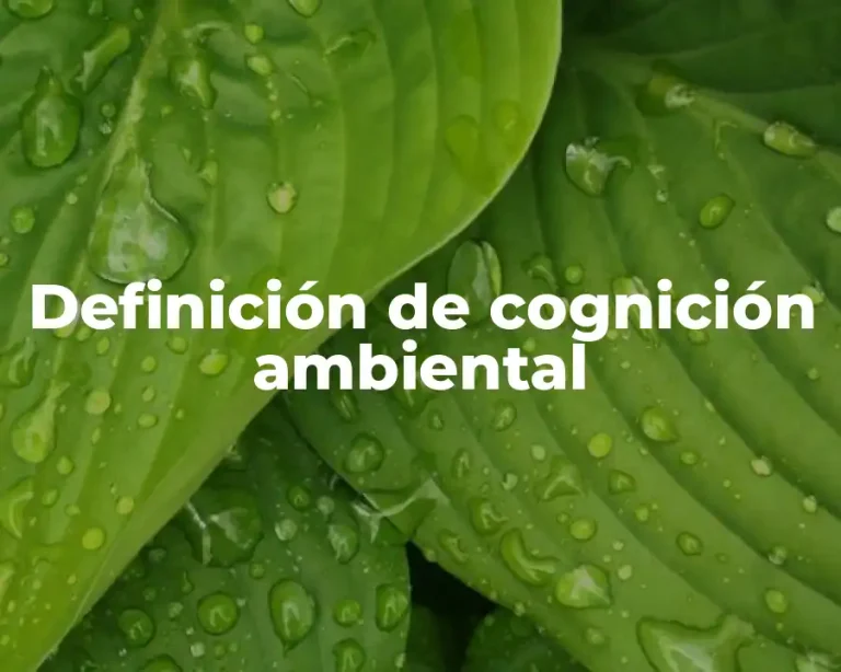 Definición de cognición ambiental