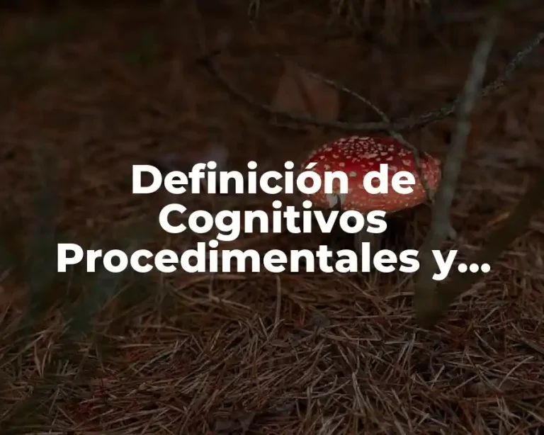Definición de Cognitivos Procedimentales y Actitudinales