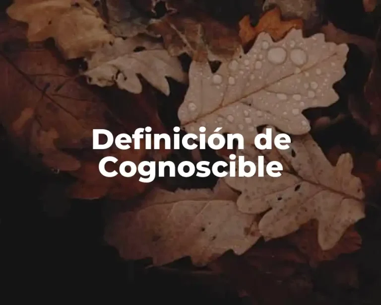 Definición de Cognoscible