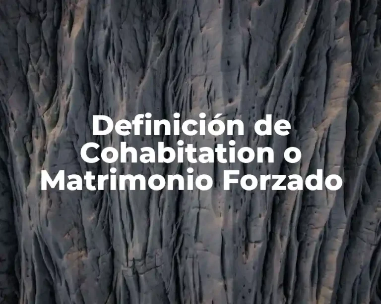 Definición de Cohabitation o Matrimonio Forzado